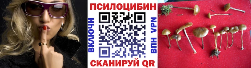Галлюциногенные грибы прущие грибы  Данилов 